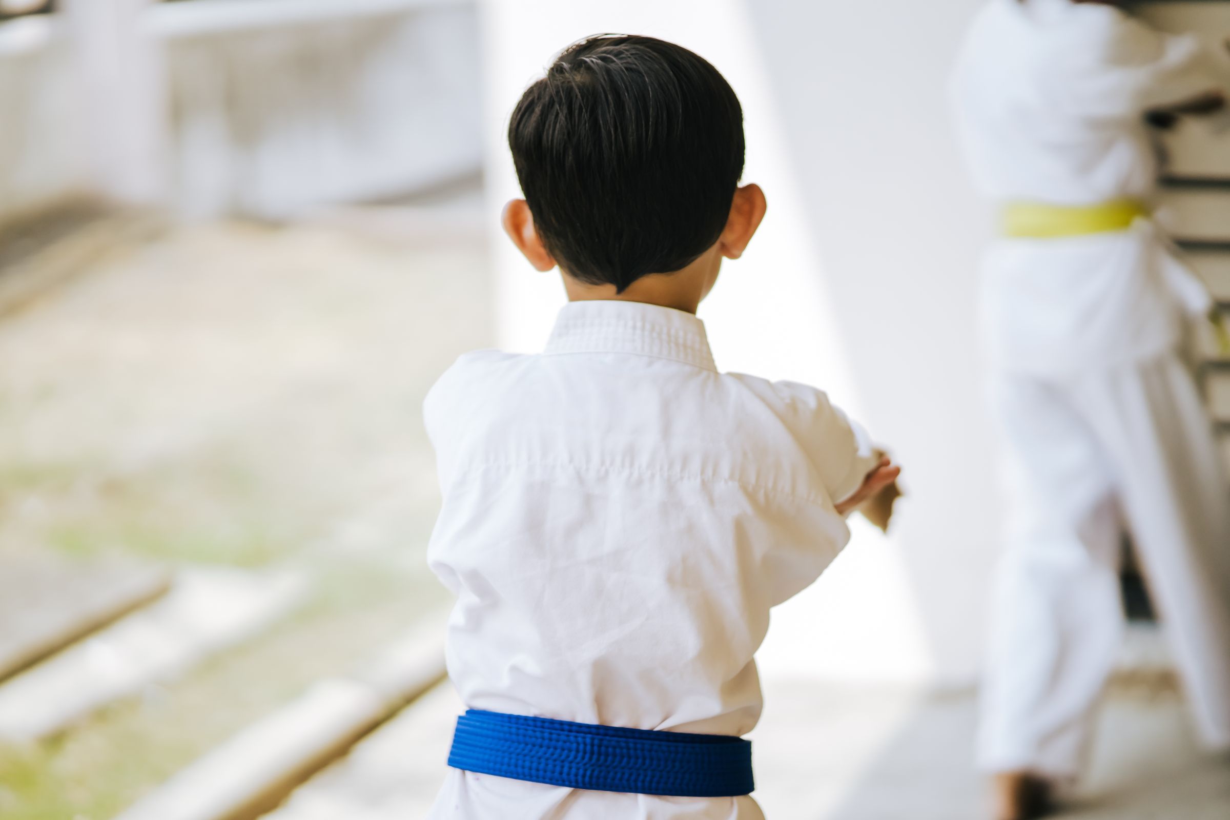 Judo Sportinstituut Ermelo
